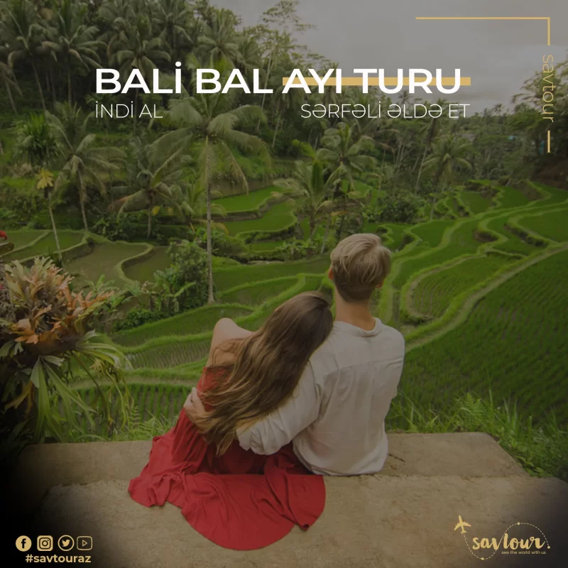 BALİ BAL AYI TURU 